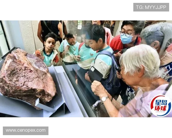 ✅体育直播🏆世界杯直播🏀NBA直播⚽香港首次发现恐龙化石，25日起在香港文物探知馆展出sports