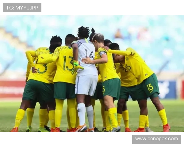 南非世界杯有多少人参加（南非世界杯参赛国家）sports